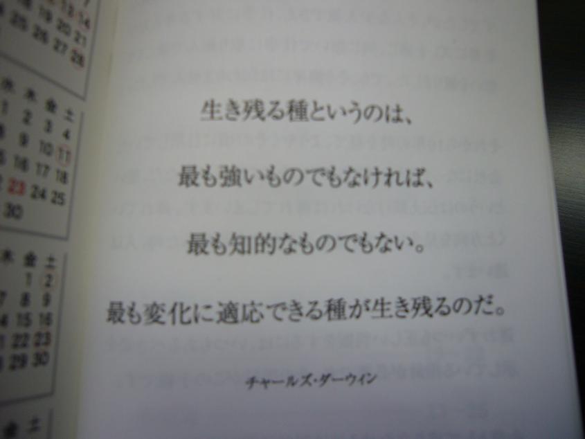 tetyo3.JPG